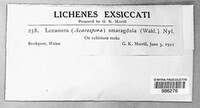Image Associated With the Occurence